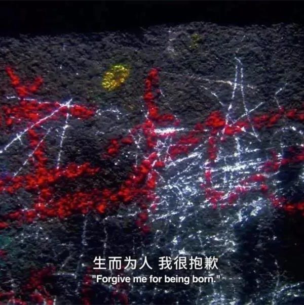 心理電影賞析《被嫌棄的松子的一生》